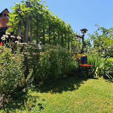 Homestay Hisa Korazija Rogaska Slatina