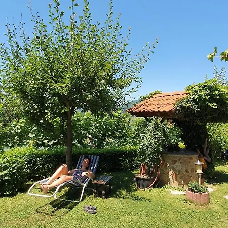 Hisa Korazija Habitación en casa particular