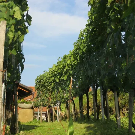 Homestay szállás Hisa Korazija *