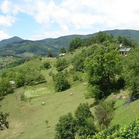 Hisa Korazija