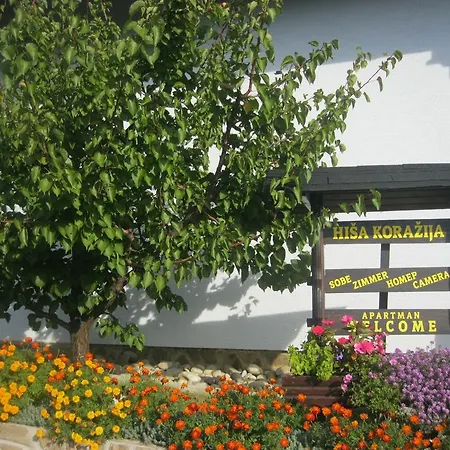Hisa Korazija